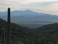 Looking out toward Avra Valley